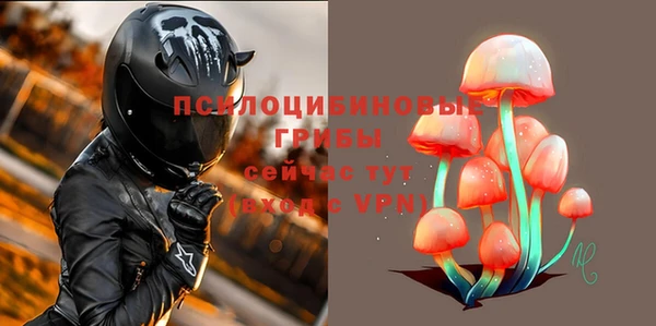 ALPHA PVP Нягань