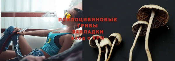 ALPHA PVP Нягань