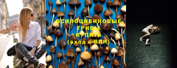 ALPHA PVP Нягань