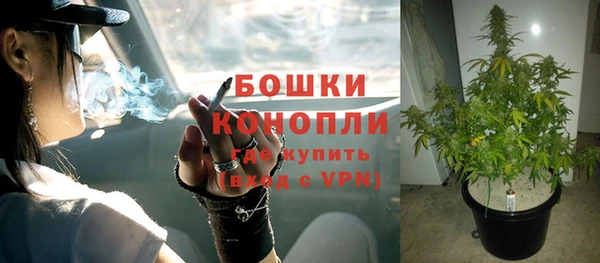 ALPHA PVP Нягань