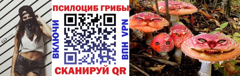 Псилоцибиновые грибы Magic Shrooms  shop как зайти  Владимир 