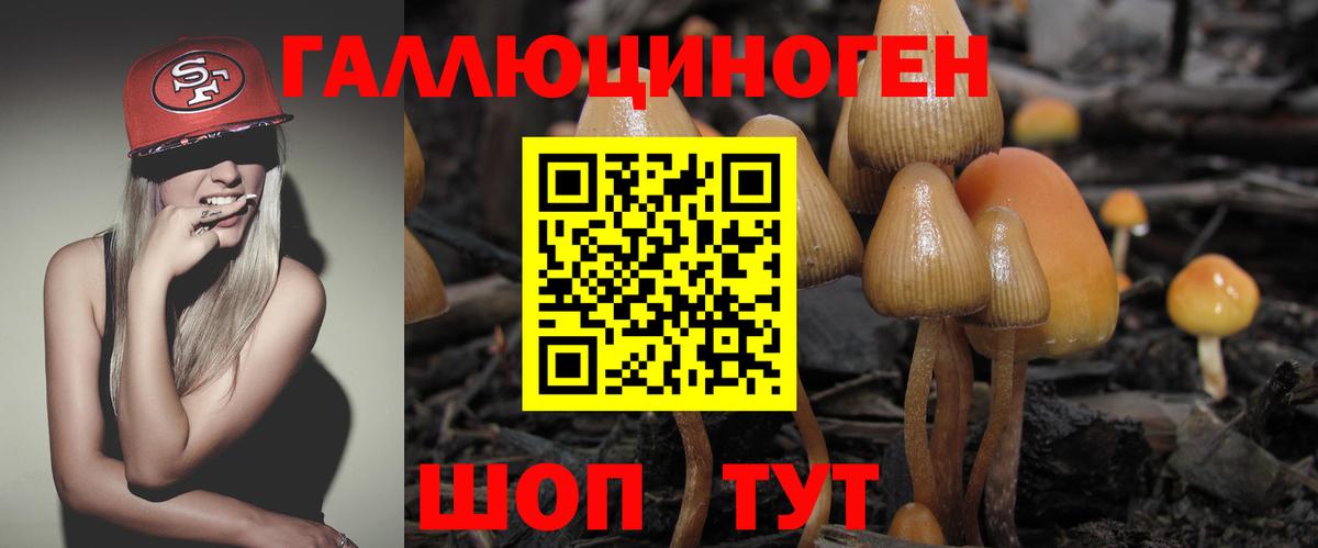 Владимир  Псилоцибиновые грибы прущие грибы  Вход с VPN 